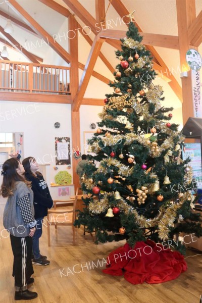 道の駅ピア２１しほろにお目見えしたクリスマスツリー