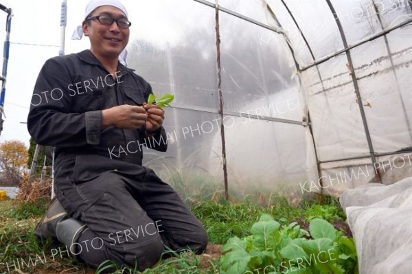 自由な農業で野菜２５０種　「自然農園ふたば」～芽室【先読み新年号】