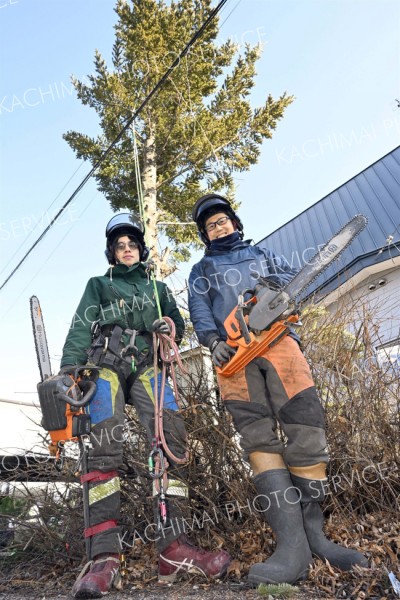 持続可能な森林経営へ「自伐型林業」、住宅街の「特殊伐採」もウリ　池田の「ミノタケ」