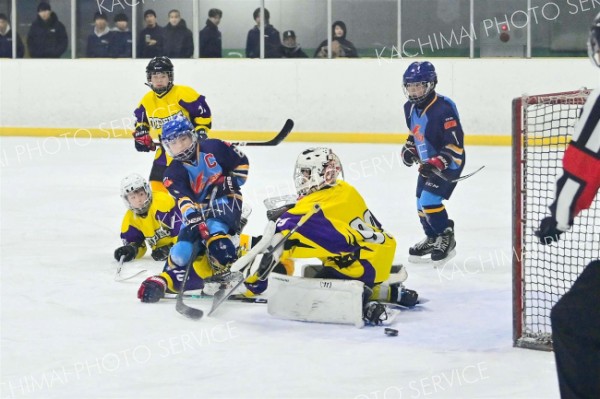 Ｖｏｒｔｅｘ大空が全勝Ｖ　アイスホッケーＰｅｅＷｅｅ大会最終日