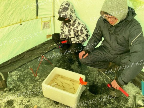 ホロカヤントーでワカサギ釣りを楽しむ親子（４日午前８時ごろ）