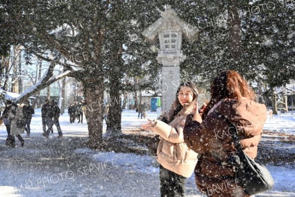 「巳年」笑顔で幕開け