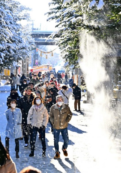 １２月３１日に降り積もった雪が木の枝から落ちる場面も見られた（１日、帯廣神社で。金野和彦撮影）