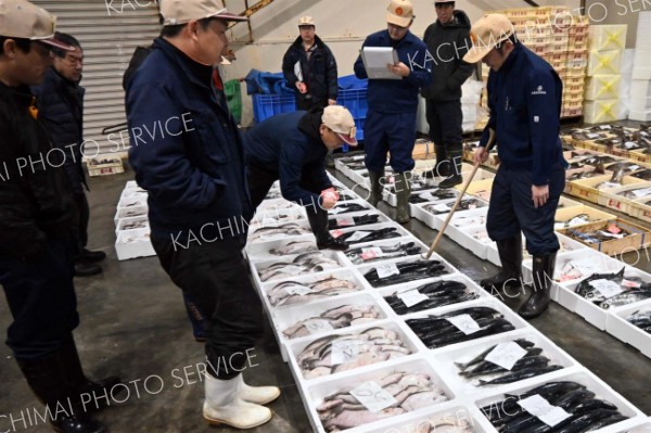 威勢良く今年最初の競り　広尾漁協の地方卸売市場