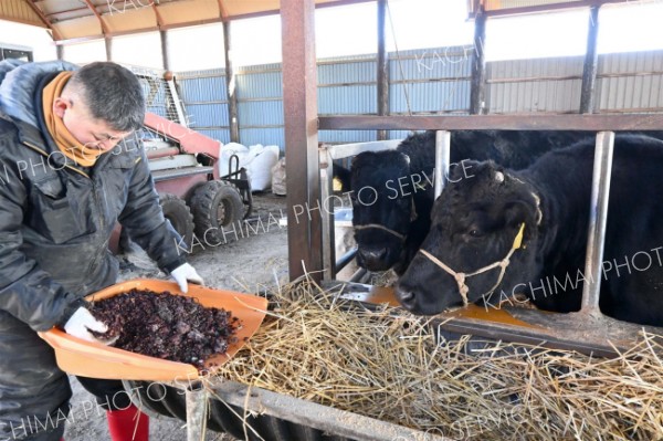 「十勝ワインビーフ」商標登録、返礼品で注目　池田の森牧場 4