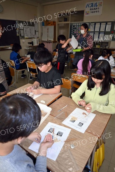 十勝農業の主要品目の小麦について理解を深めた児童（幕別町札内北小）