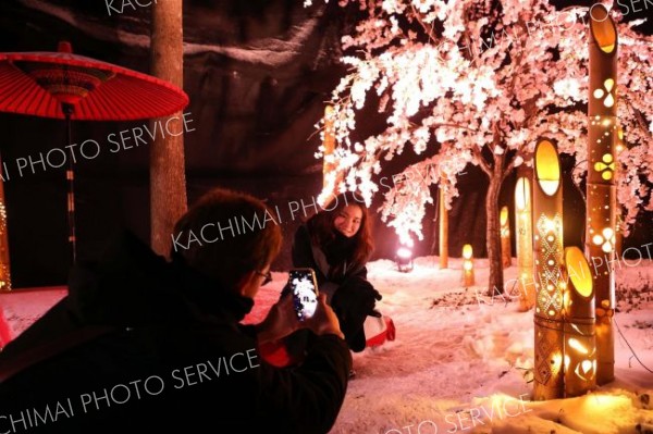 満開の冬桜―。日本一早い桜の開花をイメージして、桜の木に造花を付けてライトアップし来場者を楽しませている