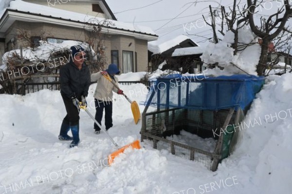 除雪に支え合いの輪　畜大生有志、町内会が奮闘