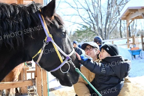 大雪後初の開園、雪の中の動物に歓声　おびひろ動物園冬季開園