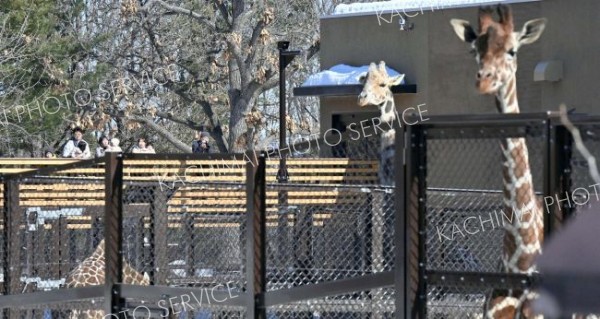 動物たちとしばしお別れ、最終日にぎわう　おびひろ動物園冬季開園 2