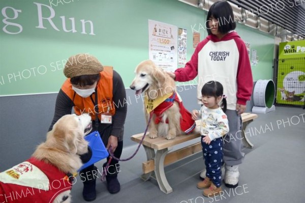 セラピードッグ、ふわふわ　札幌のＮＰＯ、音更で触れ合いイベント