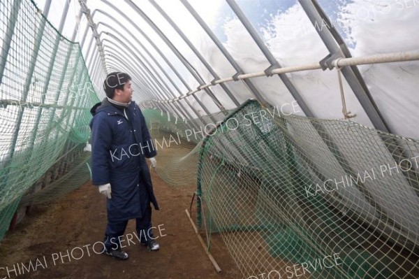 雪で押しつぶされた芽室高校野球部の屋内練習場