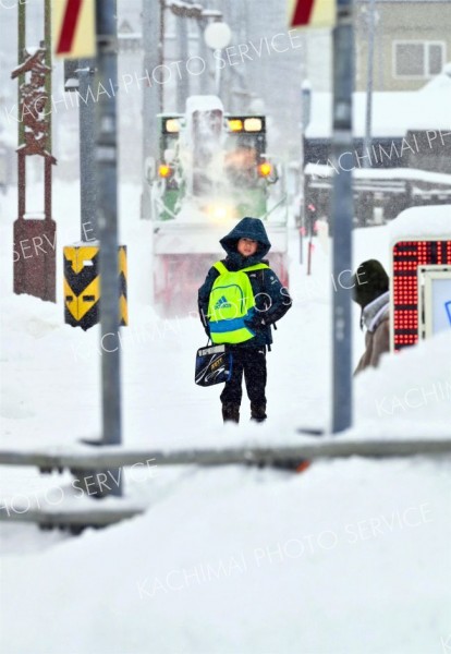 降雪の中、登校する児童（６日午前８時ごろ、大樹町内で。金野和彦撮影）