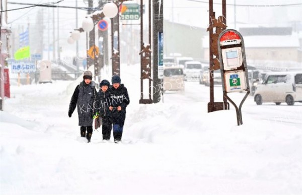 降雪の中、登校する児童（６日午前８時ごろ、大樹町内で。金野和彦撮影）