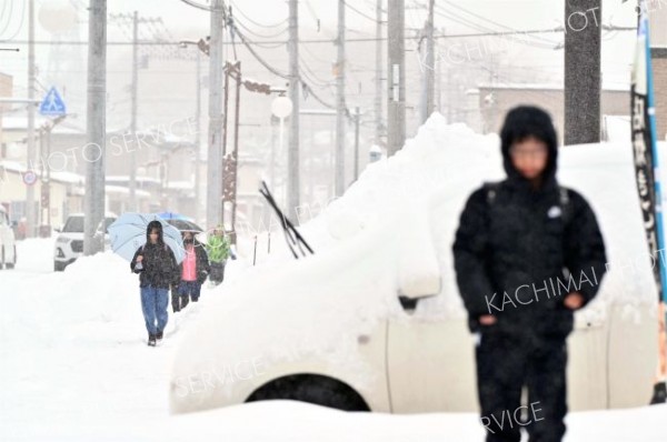 降雪の中、登校する児童（６日午前８時ごろ、大樹町内で。金野和彦撮影）