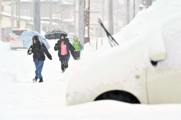 降雪の中、登校する児童（６日午前８時ごろ、大樹町内で。金野和彦撮影）