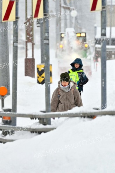 降雪の中、登校する児童（６日午前７時５０分ごろ、大樹町内で。金野和彦撮影）