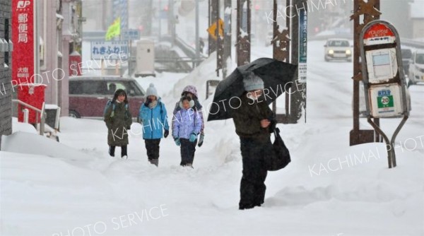 降雪の中、登校する児童（６日午前７時４５分ごろ、大樹町内で。金野和彦撮影）