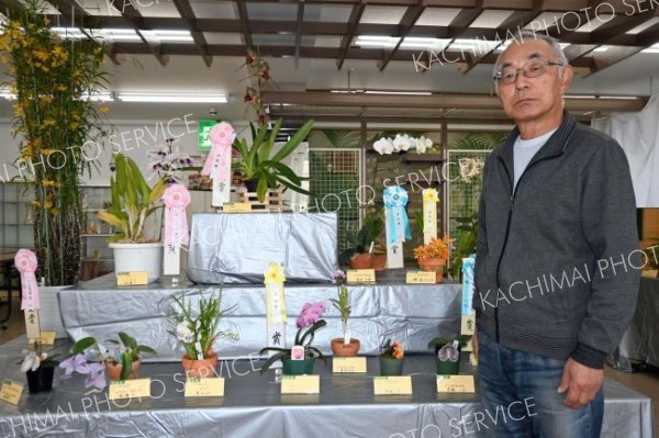 会員丹精したランずらり　音更で２５～２７日に「春の蘭展」　帯広蘭友会