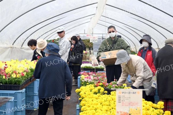 帯広農高生が手塩の花苗、住民に人気　生徒ら接客し販売会