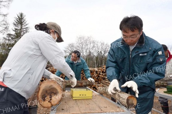 ダム管理者がシイタケ植菌体験　新得町きのこプロジェクトで帯開建など