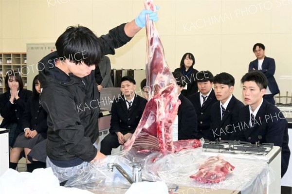 シカ革名刺ケース作りを前にシカの解体見学　池田高２年生