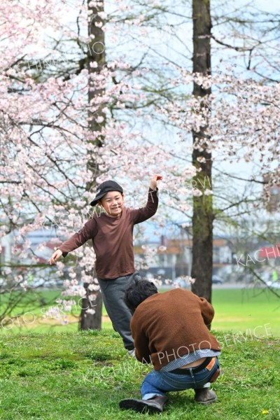 満開の桜を背景に記念撮影をする親子（塩原真撮影）