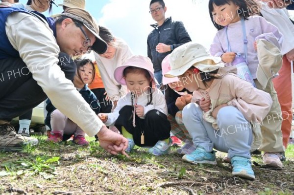 森のおさんぽでどんぐりや木の芽を発見する子どもたち