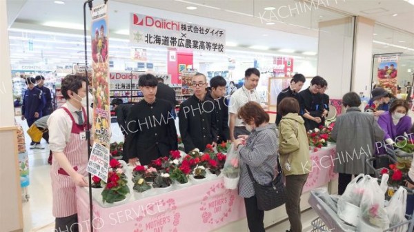 農高生のベゴニア人気　ダイイチ稲田店で連携販売