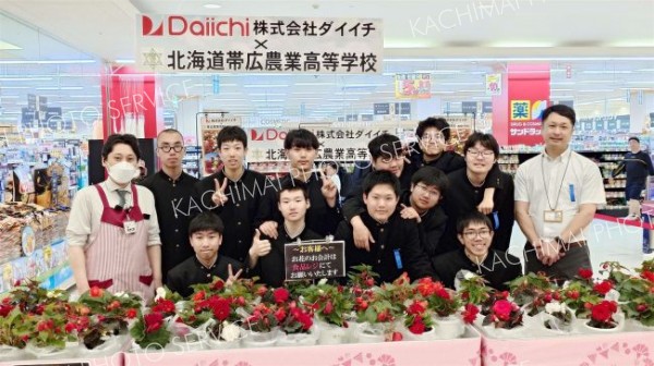 農高生のベコニア人気　ダイイチ稲田店で連携販売 2