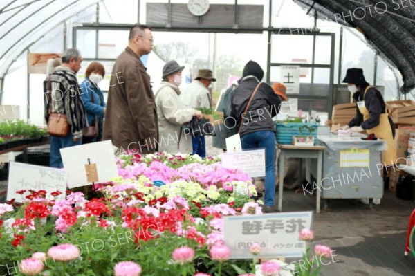 花や野菜の苗を特価で販売　めむろシニアワークセンターがイベント