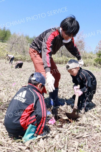 植樹作業に汗を流す参加者ら