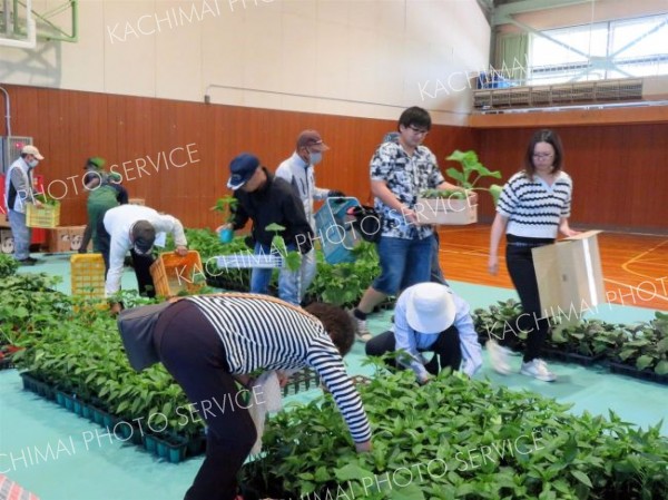 更農生が育てた野菜苗を買い求める人たち