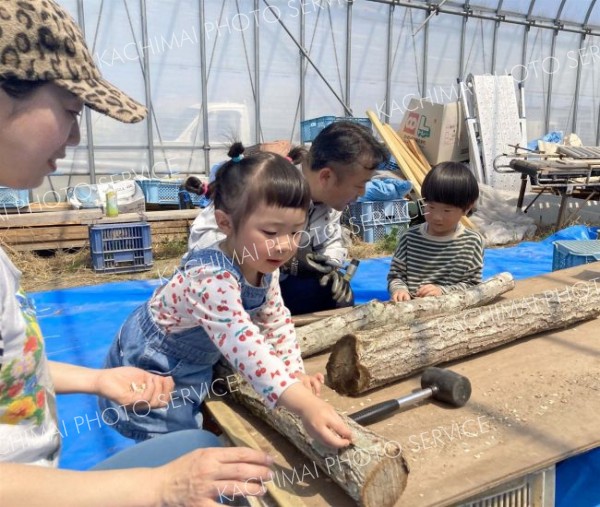 植菌打ちを体験する子どもたち