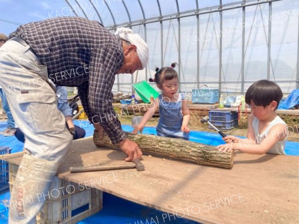 植菌打ちを体験する子どもたち