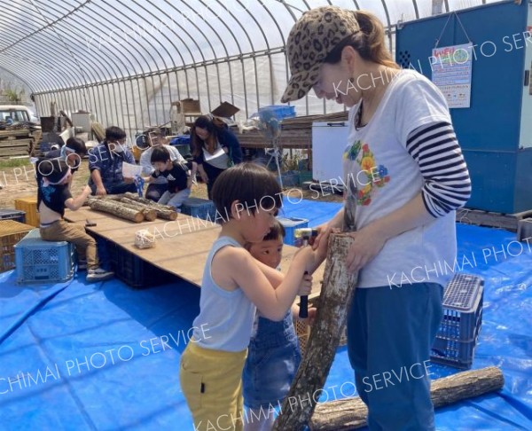 植菌打ちを体験する子どもたち