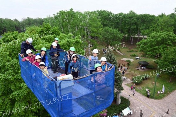 緑に触れ合うイベント多彩に　緑ケ丘公園内で新緑まつり