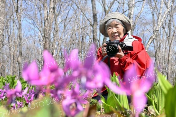 カタクリの花に話賭け