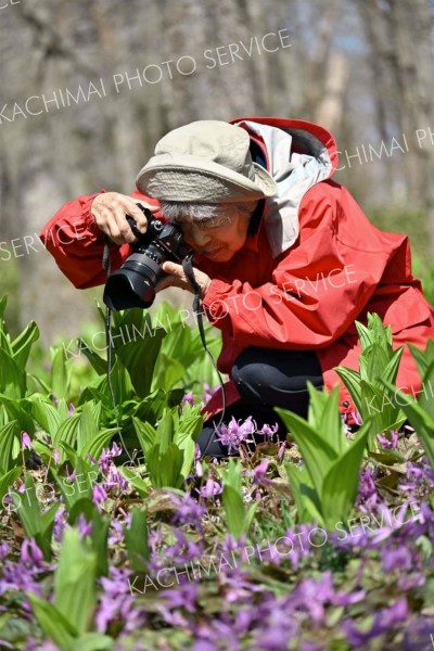 撮影に没頭する（金野和彦撮影）