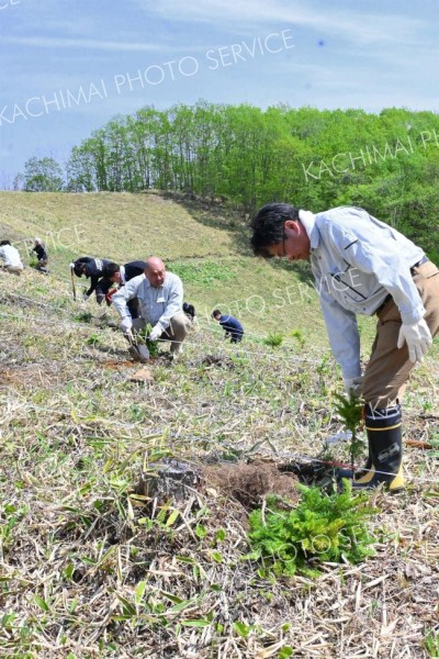 池田の「じゅんの森」で植樹祭　川田工業