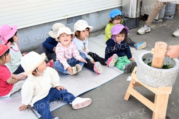 職員のお手本を興味津々で見つめる２歳児たち