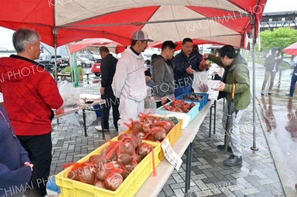 新鮮なホッキやツブを買い求めて多くの人が来場した
