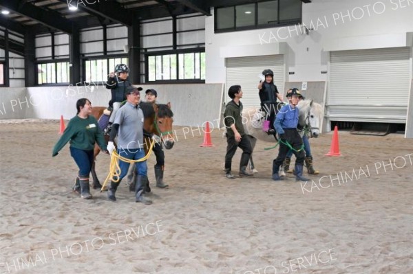 帯広畜産大学の職員や学生のサポートを受けながら乗馬を楽しむ児童ら