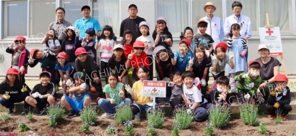 「博愛の花」３００株植栽　池田小２年生が日赤の花壇造り 2