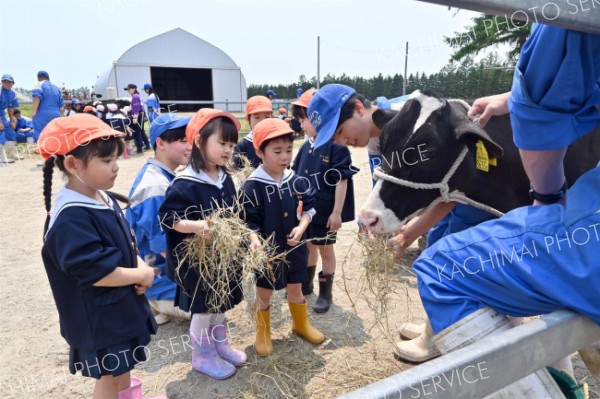 餌やり体験「いっぱい食べてくれたよ」　第一いずみ幼稚園児が帯広農業高で動物触れ合い