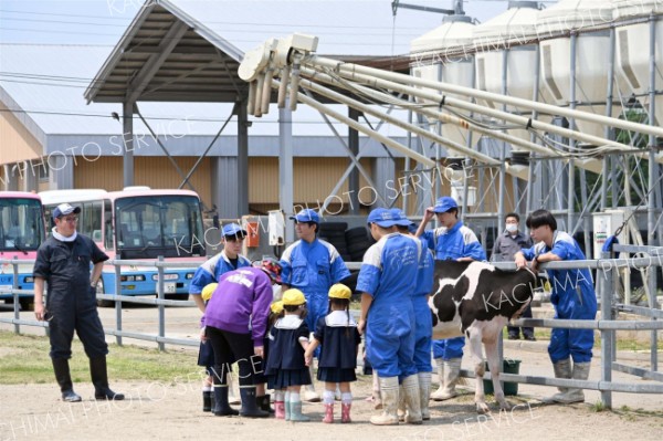 餌やり体験「いっぱい食べてくれたよ」　第一いずみ幼稚園児が帯広農業高で動物触れ合い 9
