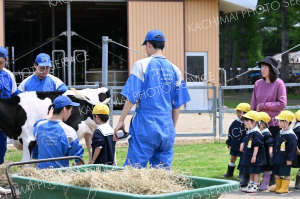 餌やり体験「いっぱい食べてくれたよ」　第一いずみ幼稚園児が帯広農業高で動物触れ合い 10