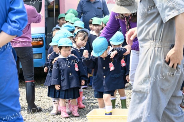 餌やり体験「いっぱい食べてくれたよ」　第一いずみ幼稚園児が帯広農業高で動物触れ合い 12