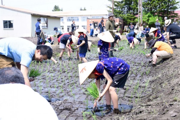 田植えに励む児童と地域住民ら