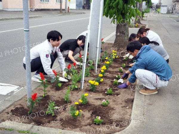 高堂建設が花壇整備 3